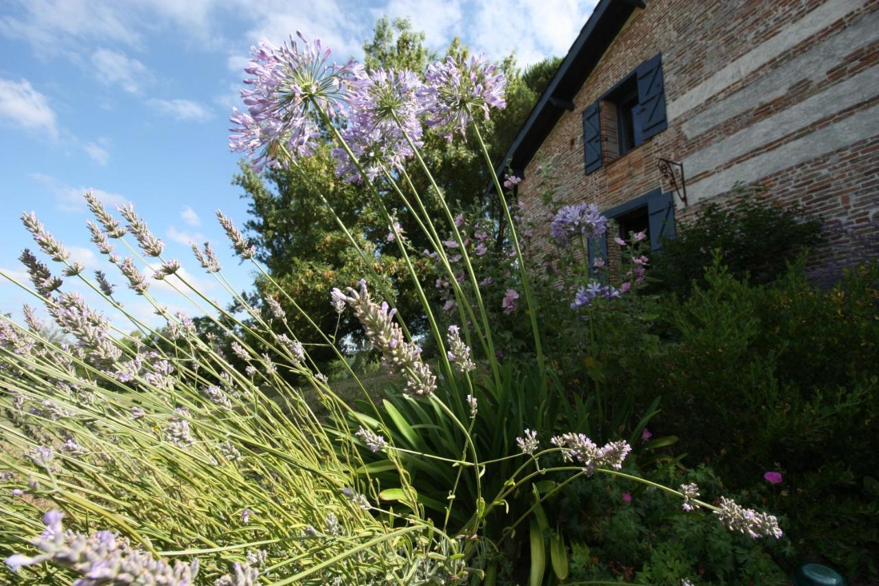 Chambre D'Hotes De Jacobiel Verlhac-Tescou Exterior foto